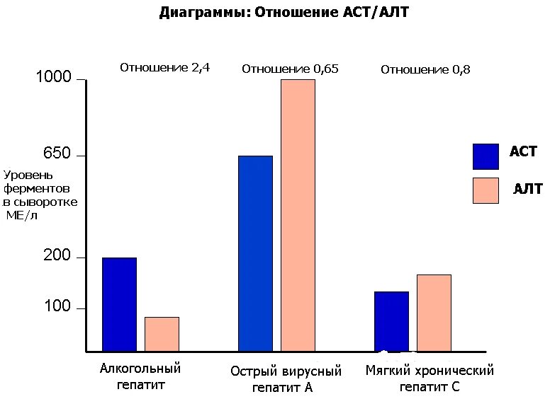 Соотношение аст. Степени повышения алт и аст в крови. соотношение алт и аст коэффициент норма. аст при гепатите показатели. соотношение алат и асат.