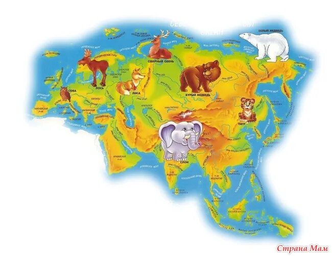 HAYVANLAR HARİTASI Animals of the world, World map puzzle, Kids world map