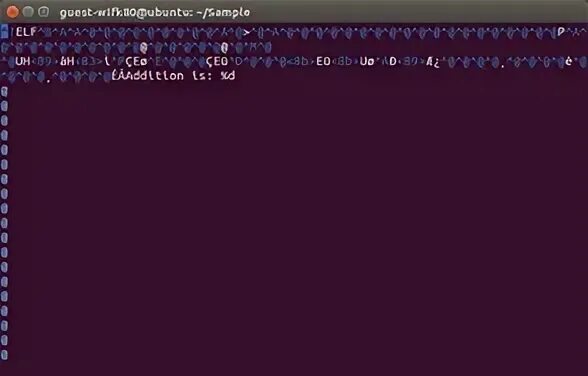 Execute c