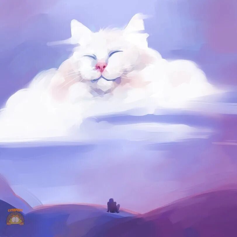 Кот облачко. Небесный кот. кот облако. котик облачко.