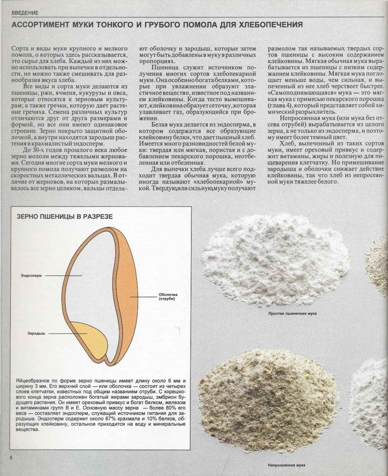 Показатели качества зерна клейковина пшеничной. Класс зерна пшеницы показатели качества. ?. Зараженность пшеницы. Овсюг кущение.