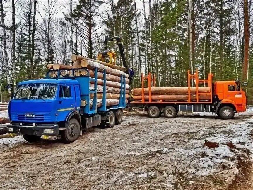 Лесовозы в красноярском крае. Лесовозы в Красноярском. КАМАЗ лес станция. Услуги фискаря. Продажа лесовоз в Красноярском крае с пробегом.