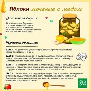 Рецепт как сделать моченые яблоки