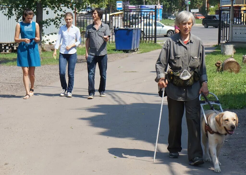 Дай поводырь 4