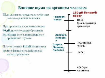 Не смотря на шум