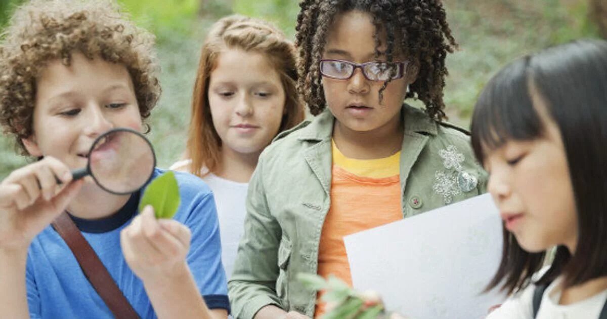 See why learning. Наука для детей. эксперименты для детей. картинка discover. natural learning английский.