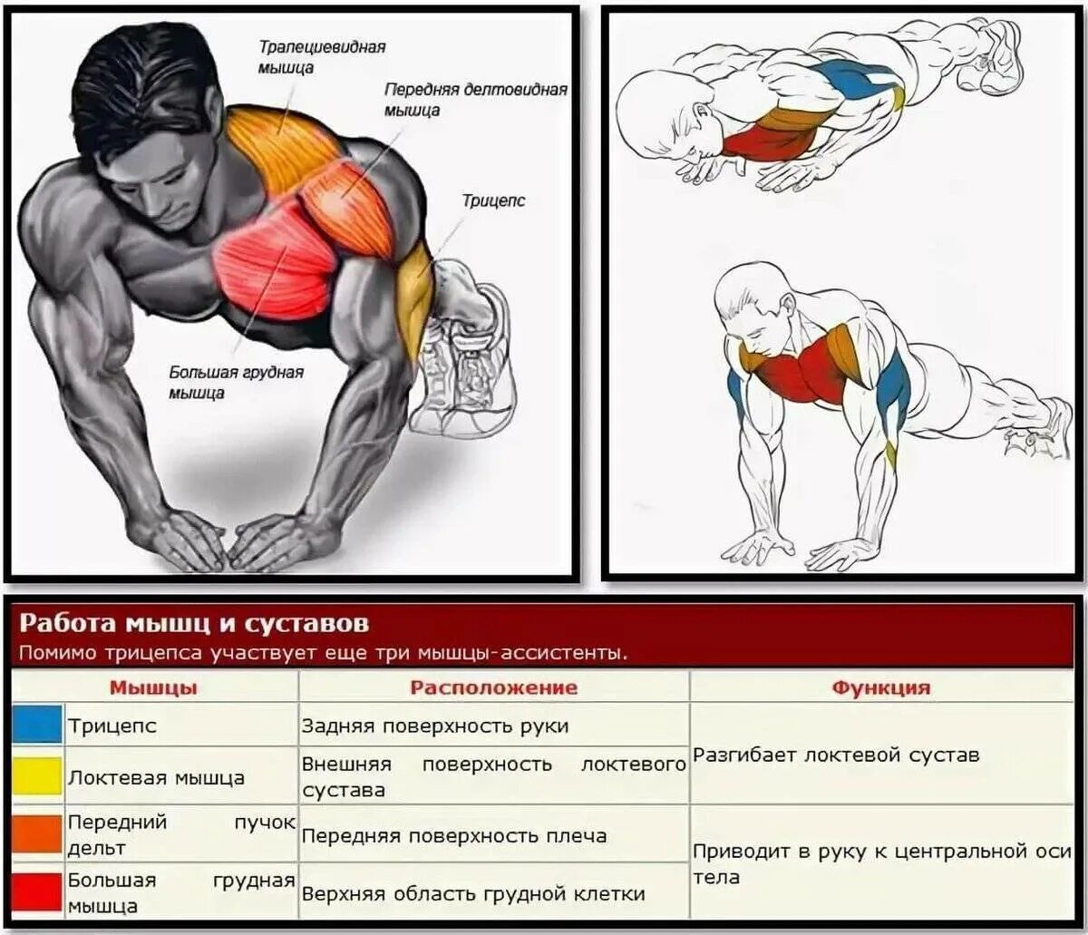 Какие мышцы наиболее развиты. Мышцы задействованные при отжимании от пола. Какие мышцы качают отжимания. Прокачка грудных мышц отжиманиями от пола. Алмазные отжимания мышцы задействованы.