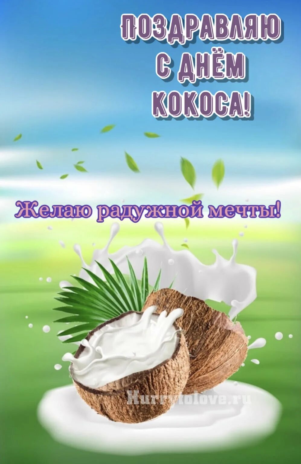 День кокоса. 356 дней с кокосом. Картина кокос. 2 сентября день кокоса. 2 сентября день кокоса.