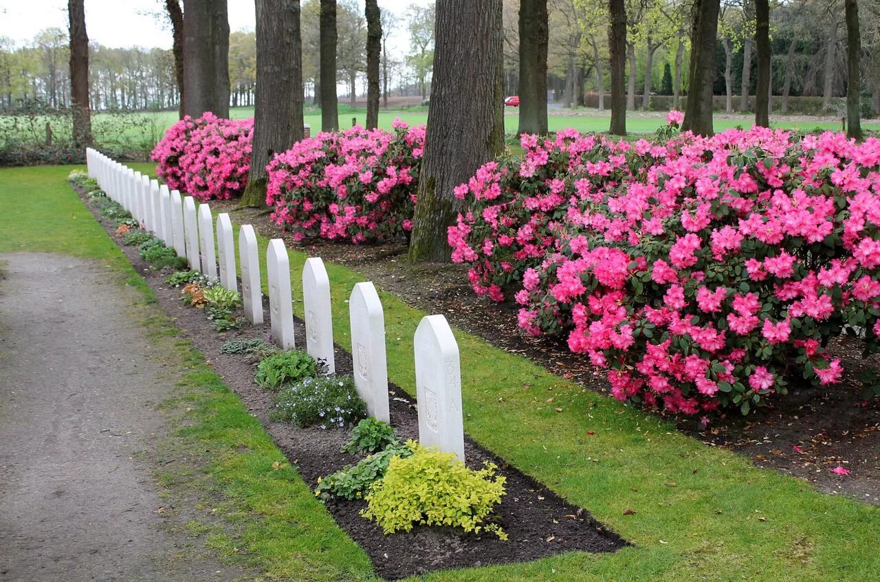 Цветы на кладбище многолетние. Красивый цветник на кладбище. Цветы и кусты для кладбища. Кусты на кладбище.