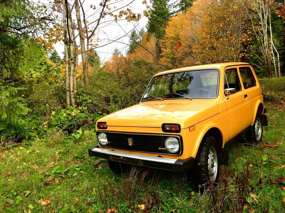Покраска. Финал. - Lada 4x4 3D, 1,7 л, 1984 года визит на сервис DRIVE2