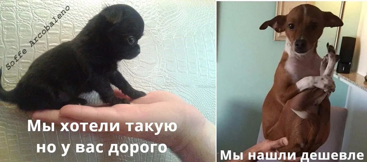 В которые всегда можно без