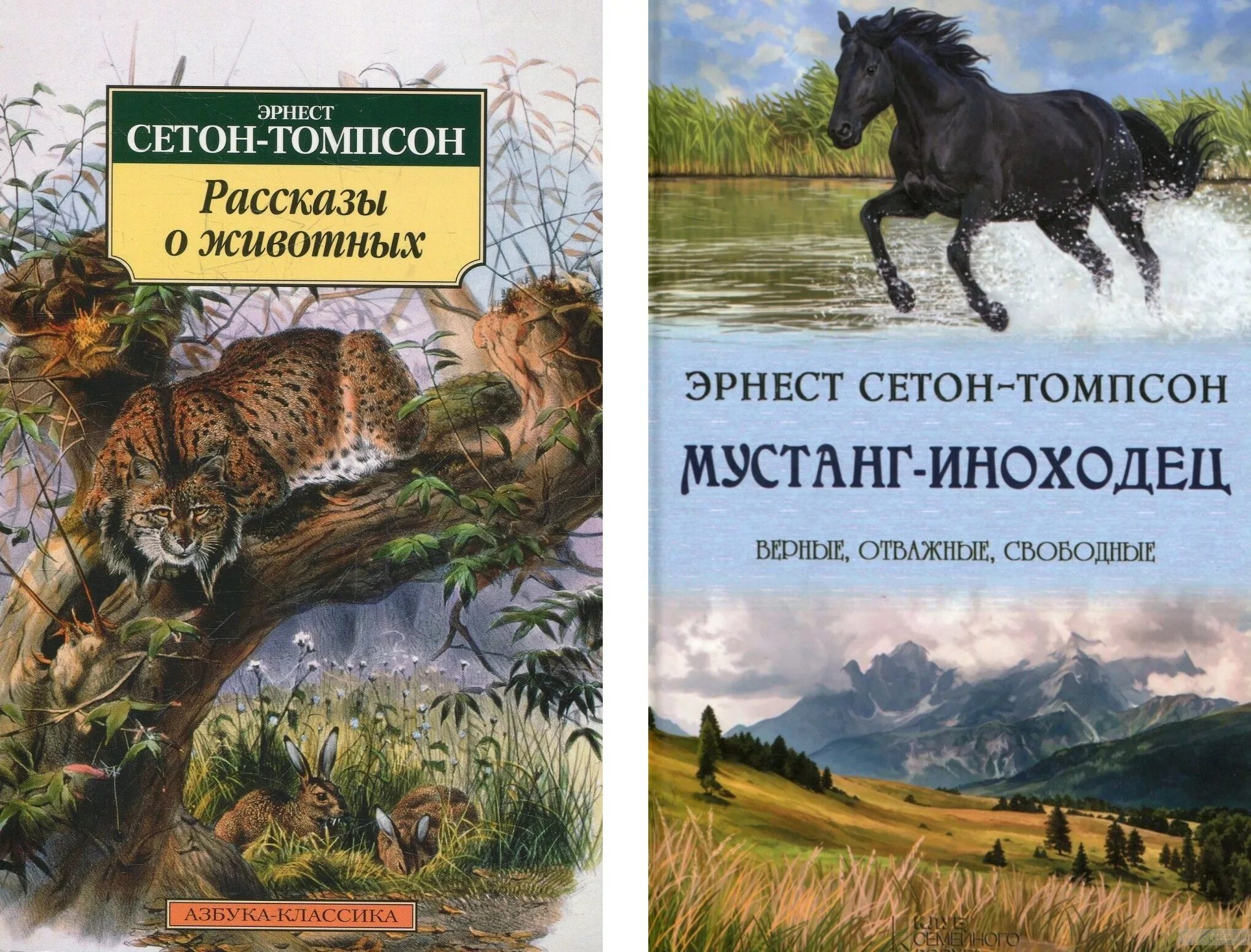 Иноходец книга 3 слушать. Жизнь диких зверей Сетон-Томпсон.