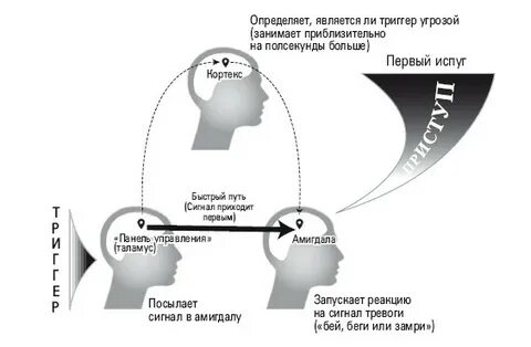 Тревожные и навязчивые мысли