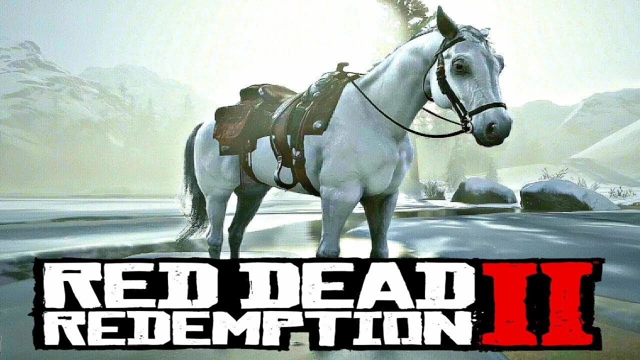 Rdr2 Arabian White Horse.