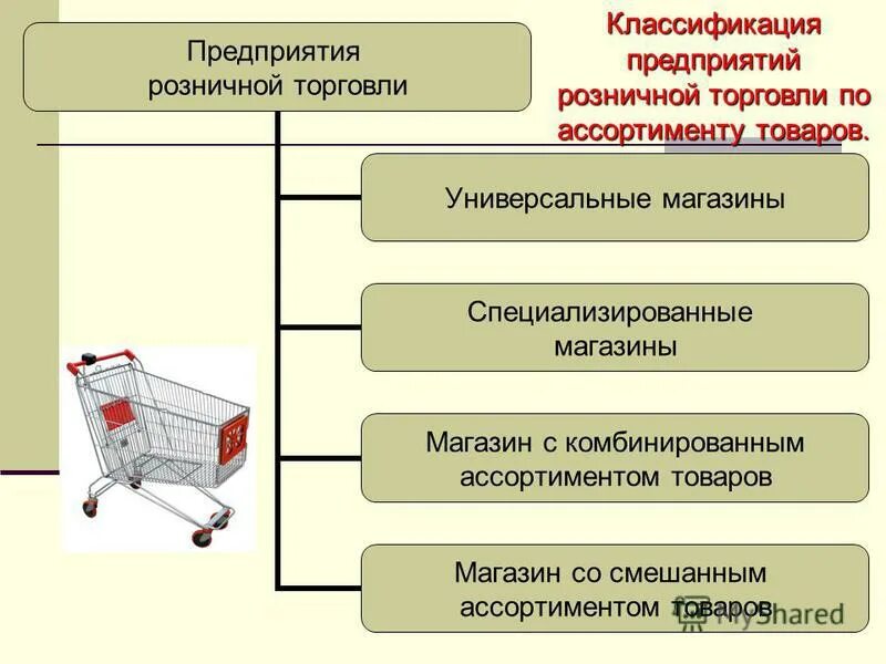 Организация предприятия розничной торговли. Классификация магазинов розничной торговли. Схема организации розничной торговли. Фирмы предприятия розничной торговли.