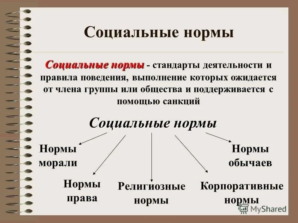 Относится к группе. Социальные нормы это в обществознании. Соц нормы это в обществознании. Социальные нормы это в обществознании определение. Обществознание социальные нормы общества.