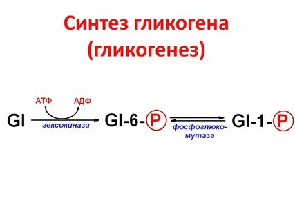Гликогенез