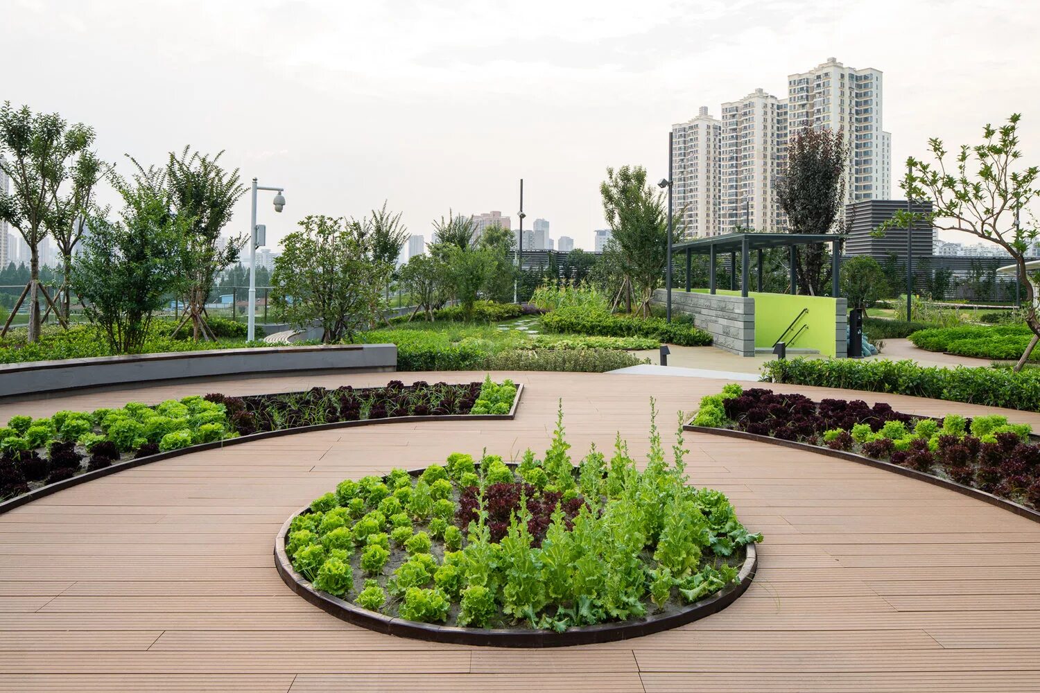 Gillespies ландшафт. город урбан сквер. современное озеленение городов. пьер жесткофф ландшафтный архитектор парки. ландшафтный архитектор – хироки мацуура.