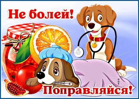 Выздоровление собаки