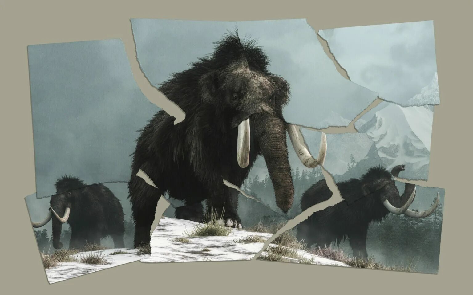 Заскамил мамонта это. Мамонт Mammuthus primigenius. Woolly Mammoth. Заскамил мамонта. Летающий мамонт.