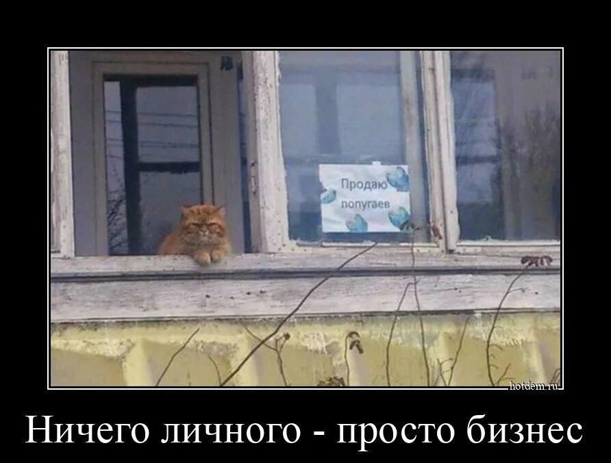 Ничего личного посад. Ничего личного посад