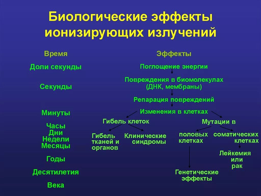 Виды биологических эффектов. Биологическое действие ионизирующей радиации. Эффекты воздействия ионизирующего излучения на организм человека. Биологическое действие ионизирующего излучения схема. Ионизирующее излучение биологические эффекты.