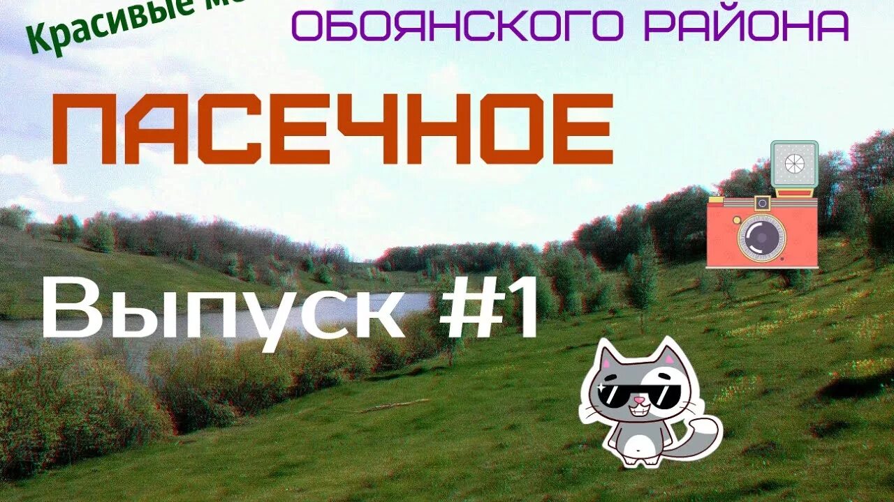 Пасека на выезде. Пасечный домик в деревне. Промышленная пасека. Погода пасечный. Пасека ефименко.