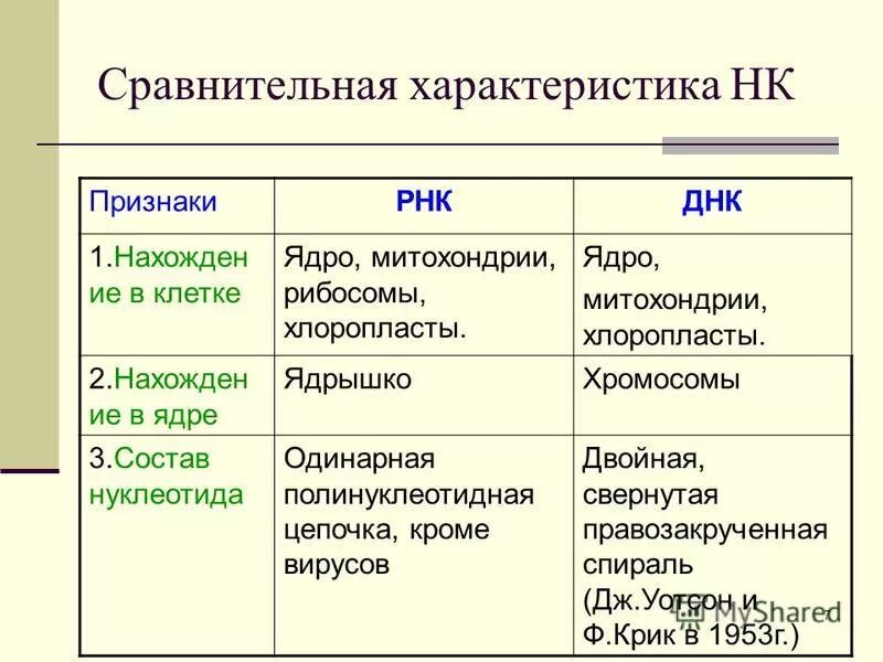 Сравнительная таблица днк и рнк 10 класс - справочник Mohs.ru