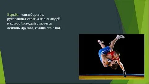 Какой вид борьбы выбрать