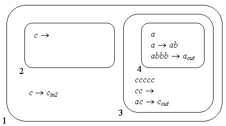 P system
