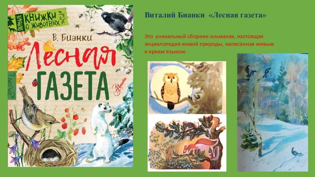 Книга виталия бианки лесная газета. 95 Лет сборнику «Лесная газета» в. в. Бианки (1928). Бианки Лесная газета птицы. Звери и птицы на книжных страницах. Бианки книги.