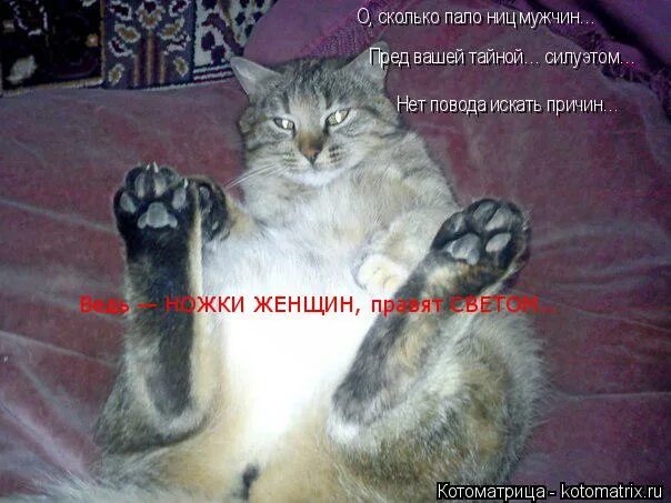 Что значит пасть ниц. Пасть ниц. пасть ниц что значит. я ваша тайна.