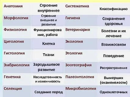 Морфология анатомия физиология систематика палеонтология