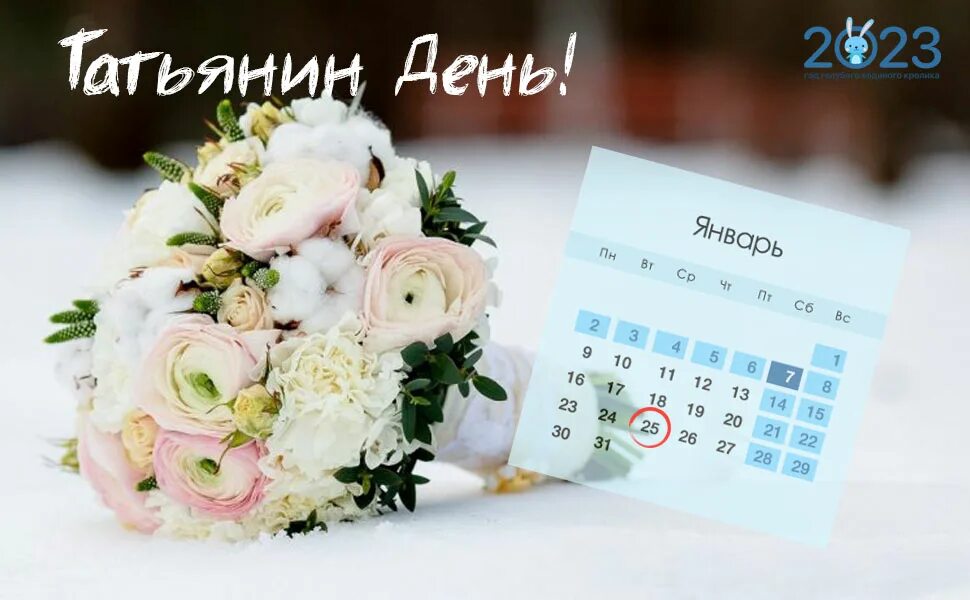 Когда татьянин день какого числа. Татьянин день 2023 году. Когда татьянин день какого числа. Поздравления с днём татьяны открытки. Татьянин день картинки с поздравлениями.