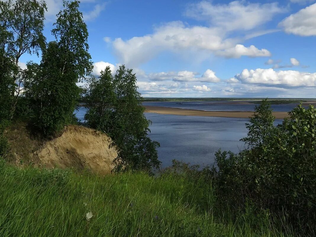 Река печора республика коми. Берег реки Печора. Река Кожва Республика Коми. Печора берег речки.