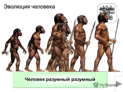 Кто такой человек разумный