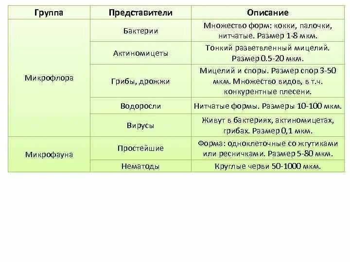 Бактерии гниения таблица. Бактерии гниения среда обитания. Бактерии гниения значение в природе и жизни человека. Бактерии гниения среда обитания и значение.