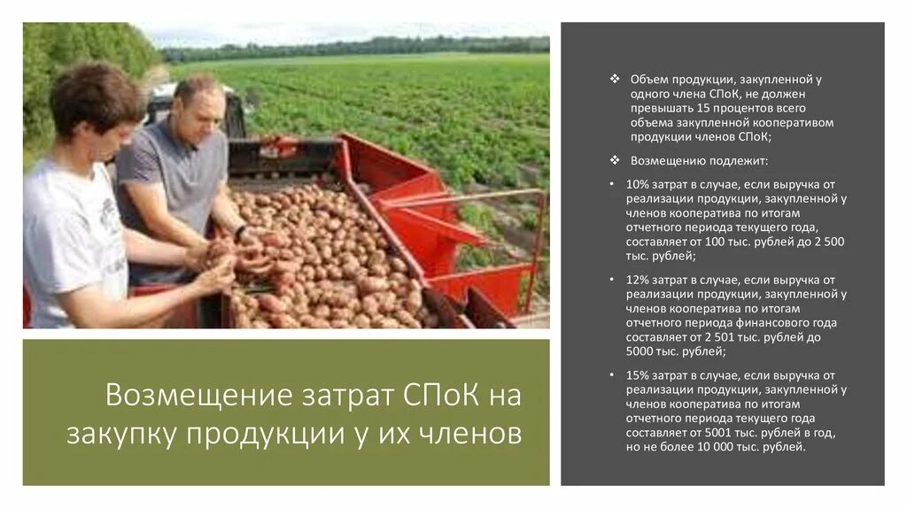 Продукция кооперация. Господдержка сельского хозяйства. Закупки сельскохозяйственной продукции. Кооперация в сельском хозяйстве. Что такое Спок в сельском хозяйстве.