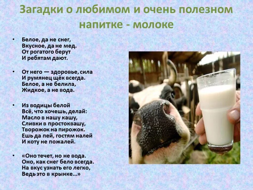 Загадки про молочные продукты для детей. Стих про козу. Стих про корову для детей. Молоко дает корова загадка. Молоко дает корова загадка.