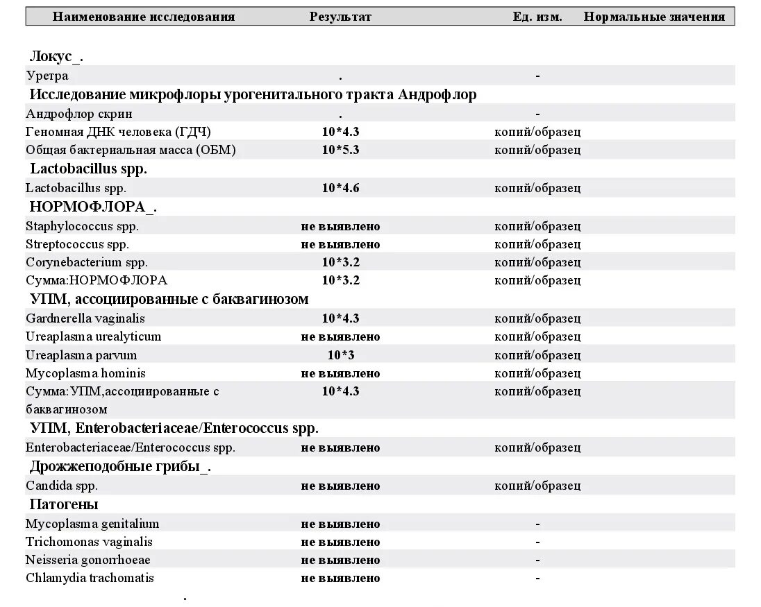 Мазок андрофлор у мужчин. Андрофлор показатели. Норм анализы на баквагиноз. Андрофлор нормальные показатели. Андрофлор скрин расшифровка анализа у мужчин.