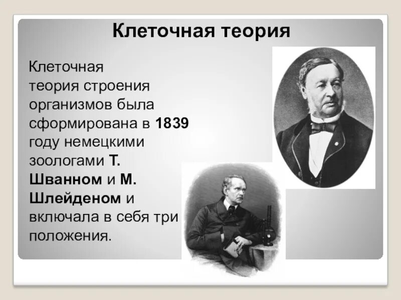 Клеточная теория строения организмов. Клеточная теория 1839 год. Теория строения организмов. Клеточная теория организмов. Теория клеточного строения.