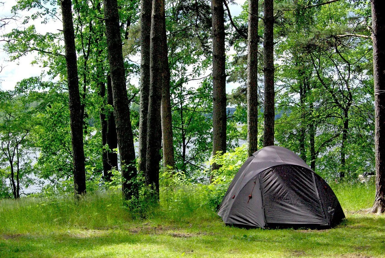 Кемпинг поход. Селигер палаточный лагерь кемпинг. Озеро Селигер палаточный лагерь. Кемпинг серебряное озеро на Селигере. Селигер кемпинг палаточный городок.