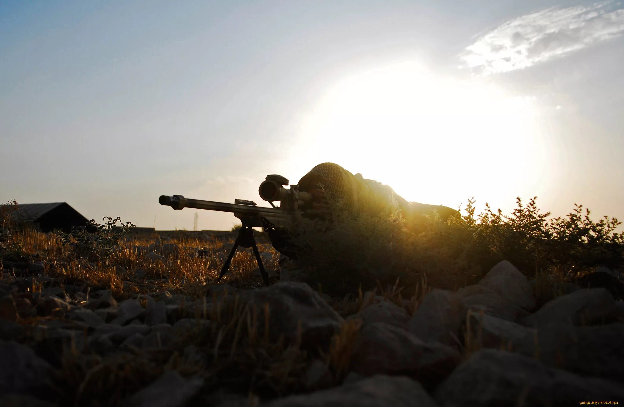 Адельберт уолдрон. Снайпер ркка 1941. K. Сталкер история снайпера ловушка судьбы. Снайпер 2017.