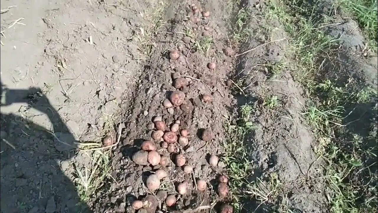 Земли национальных парков теперь можно передавать по наследству. И даже сажать т