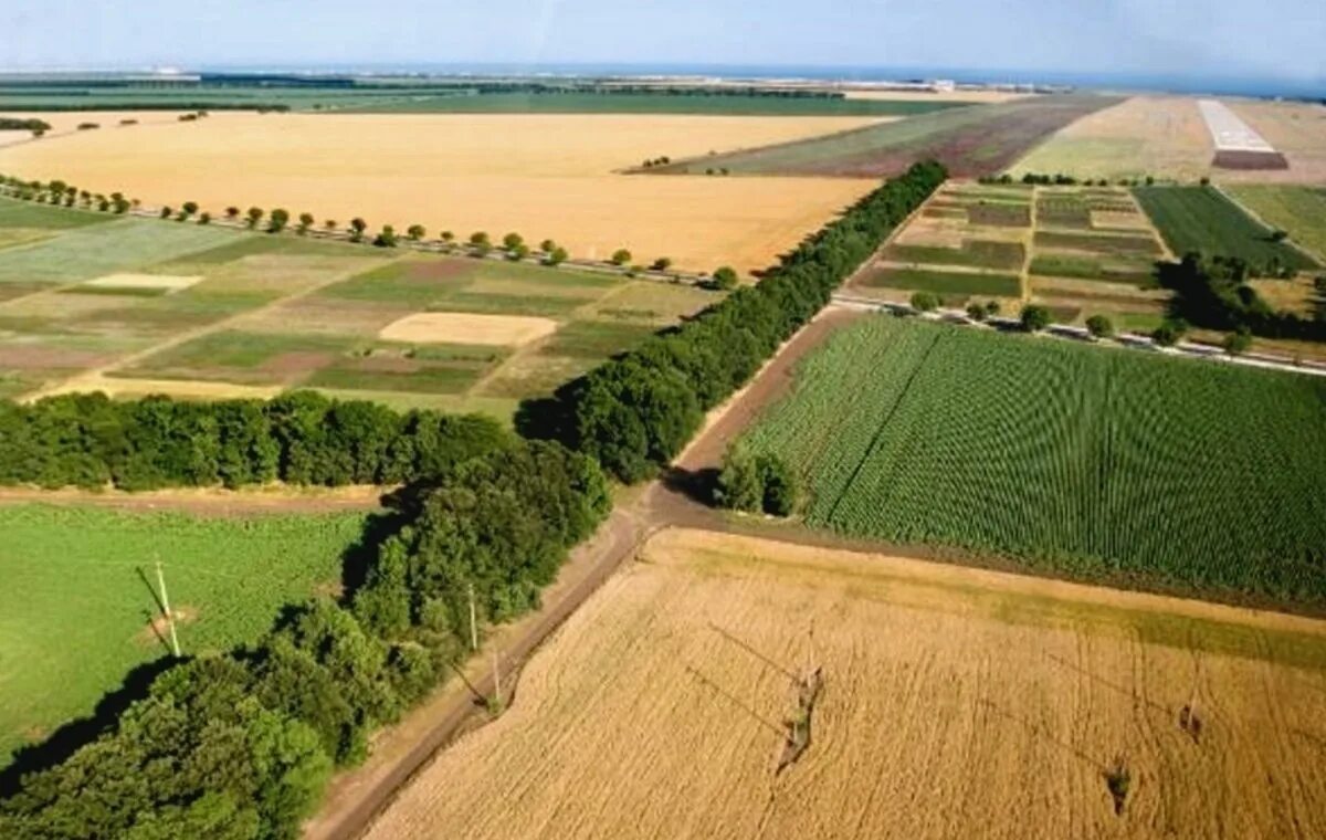 3 гектара визуально. 2,5 гектара. Рисунок гектара. Площадь земельного участка в гектарах. Рисунок гектара.