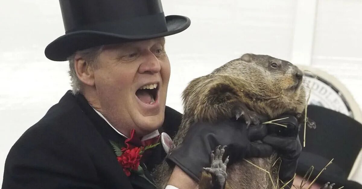 Панксатонский Фил сурок. Groundhog Day праздник. 2 Февраля день сурка. День сурка в США. Знаменитый фил из панксатони 5 букв