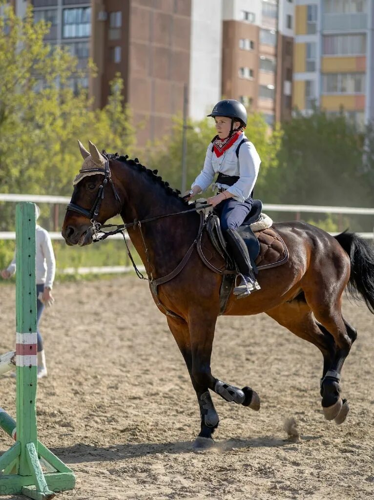 Форд мустанг челленджер. Автомойка озерск челябинская область. Мустанг озерск. Дэбц озерск иппотерапия. Мустанг озерск.