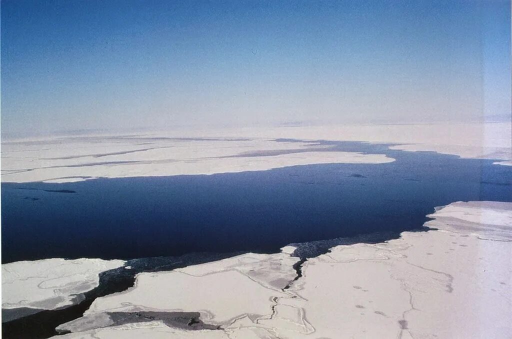 Северный Ледовитый океан Восточно-Сибирское море. Северно Ледовитый океан море Лаптевых. Полуостров Таймыр Северный Ледовитый океан. Море Лаптевых Сибирская полынья. Бассейн океана лаптевых