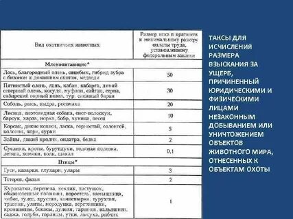 Характеристики объекта животных