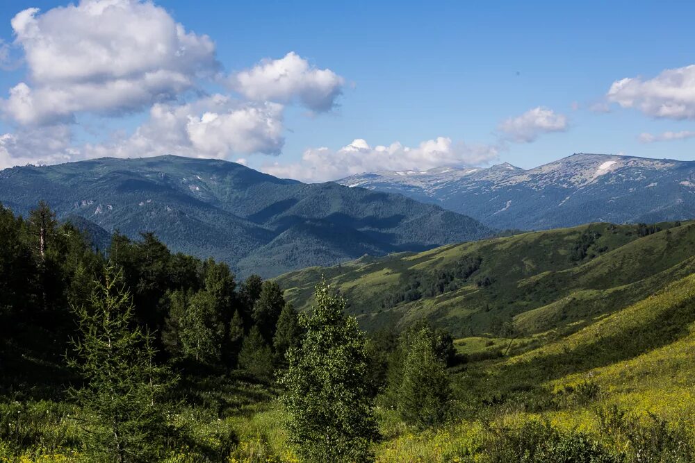 Наше большое село расположено в предгорьях ответы